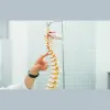 Omro Chiropractic Center