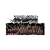 Tift Gymnastics Academy