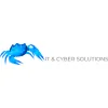 Maryland IT Solutions
