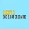 Lucky 3 Dog & Cat Grooming