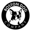 Boston Dog