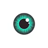 Chelmsford Optometric Associates