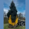 Brobst Landscaping