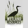 Wetland Resources