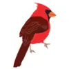 Cardinal Landscaping