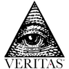 Veritas Investigation Pros