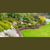 Rodriguez Sod Ranch