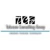 Telecom Consulting Group