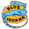 Blue Iguana