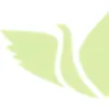 DC Counseling & Psychotherapy Center