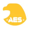 Allied Emergency Services