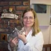 Feline Veterinary Hospital