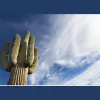 Arizona Eye Specialists