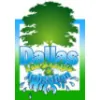 Dallas Landscape and Irrigation