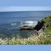 Serenity Corner
