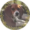 Country Doctor Veterinary Clinic