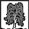Dancing Willow Herbs