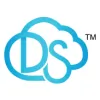 Digital South
