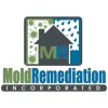 Mold Remediation