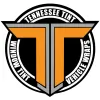 Tennessee Window Tint
