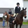 Mountain Valley Equestrian Center