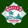 Shelly's Landscape