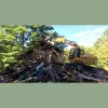 Davenport Excavation