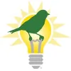 Miles Finch Innovation