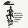 Pro Sweep Chimney Service