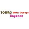 Water Damage Bayonne