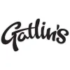 Gatlin's Adventures