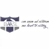 Bay Area Adult Soccer League