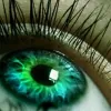 Noyce Family Eye Care
