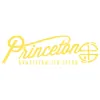 Princeton BJJ