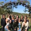 Galena Wine Tours