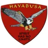 Hayabusa Martial Arts
