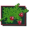 East Grove Dental