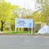 Westfield Animal Clinic