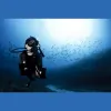 Sammy Scuba Diving