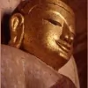 Insight Meditation Center