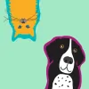 Mount Vernon Animal Hospital