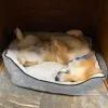 Sandia Animal Clinic