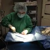 Vetcare for Pets Animal Hospital