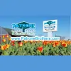 Patrone Bros Landscaping & Garden Center
