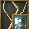Aikido Ai
