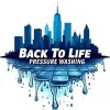 Back to Life Cleaning
