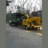 Curtis Tree Service