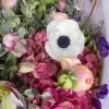 Urban Flowers