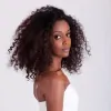 Janine Lauder Hair
