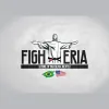 Fighteria Academy